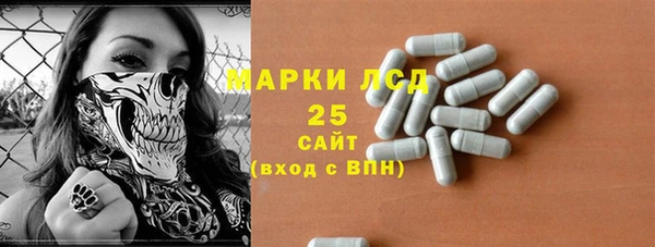 гашик Богданович
