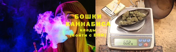 гашик Богданович