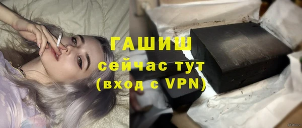 гашик Богданович
