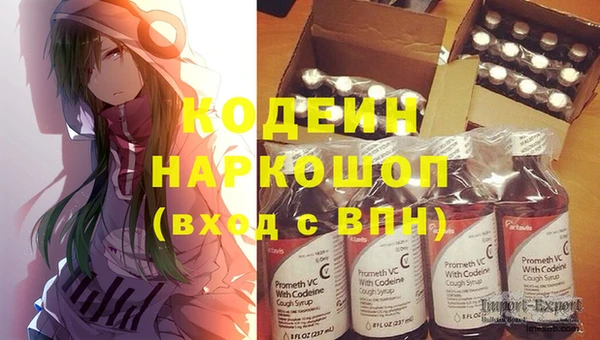 хмурый Богородск