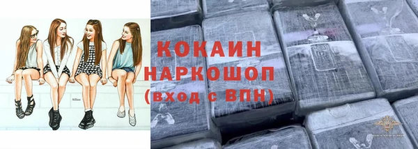 гашик Богданович